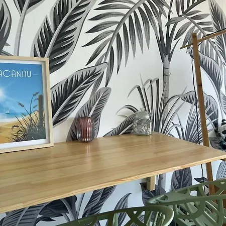 Daire Splendide Vue A 180 Sur L'ocean