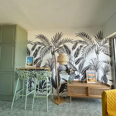Splendide Vue A 180 Sur L'ocean Apartment *